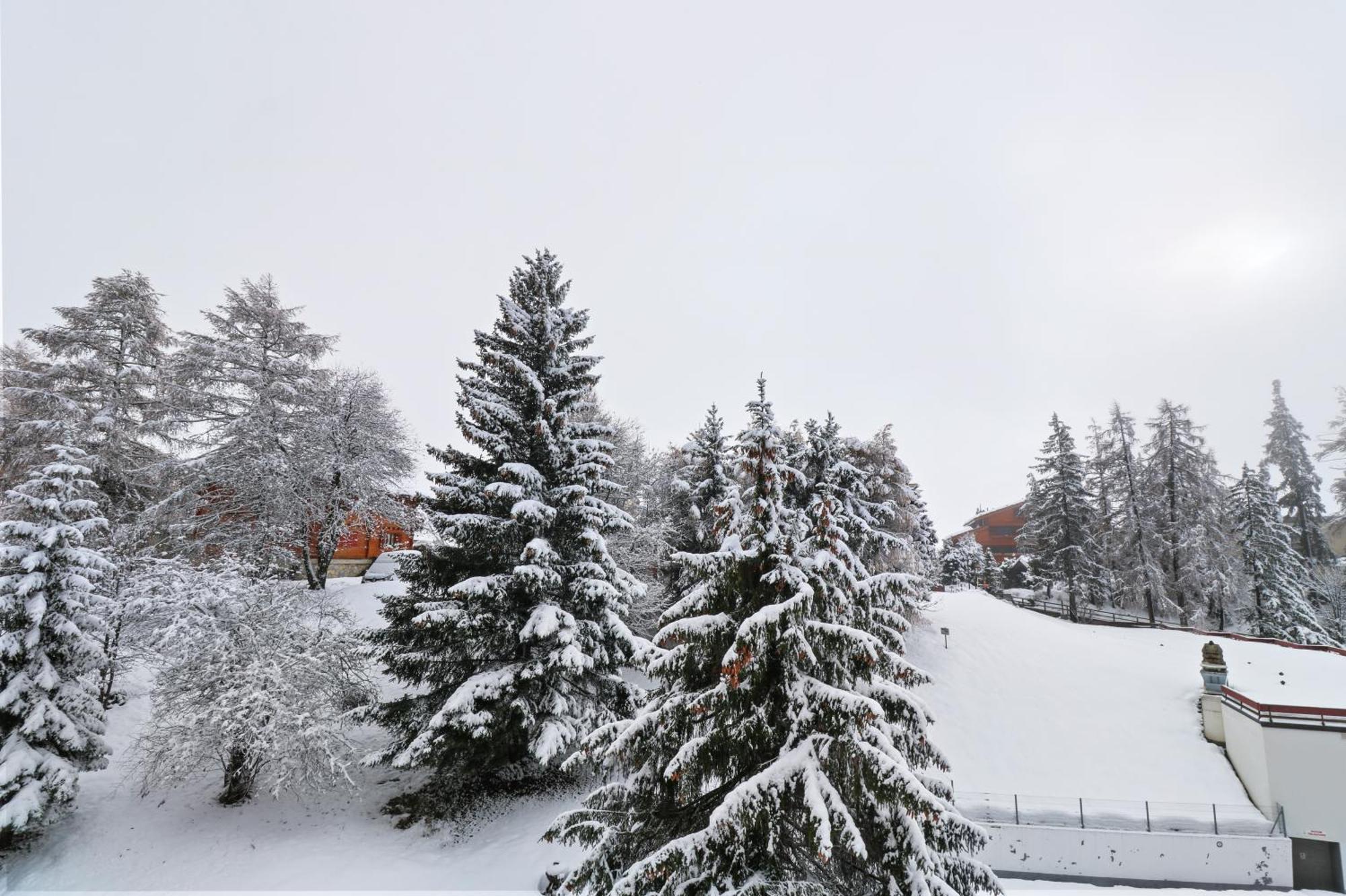 Joli Studio Avec Parking Gratuit Crans-Montana Eksteriør bilde